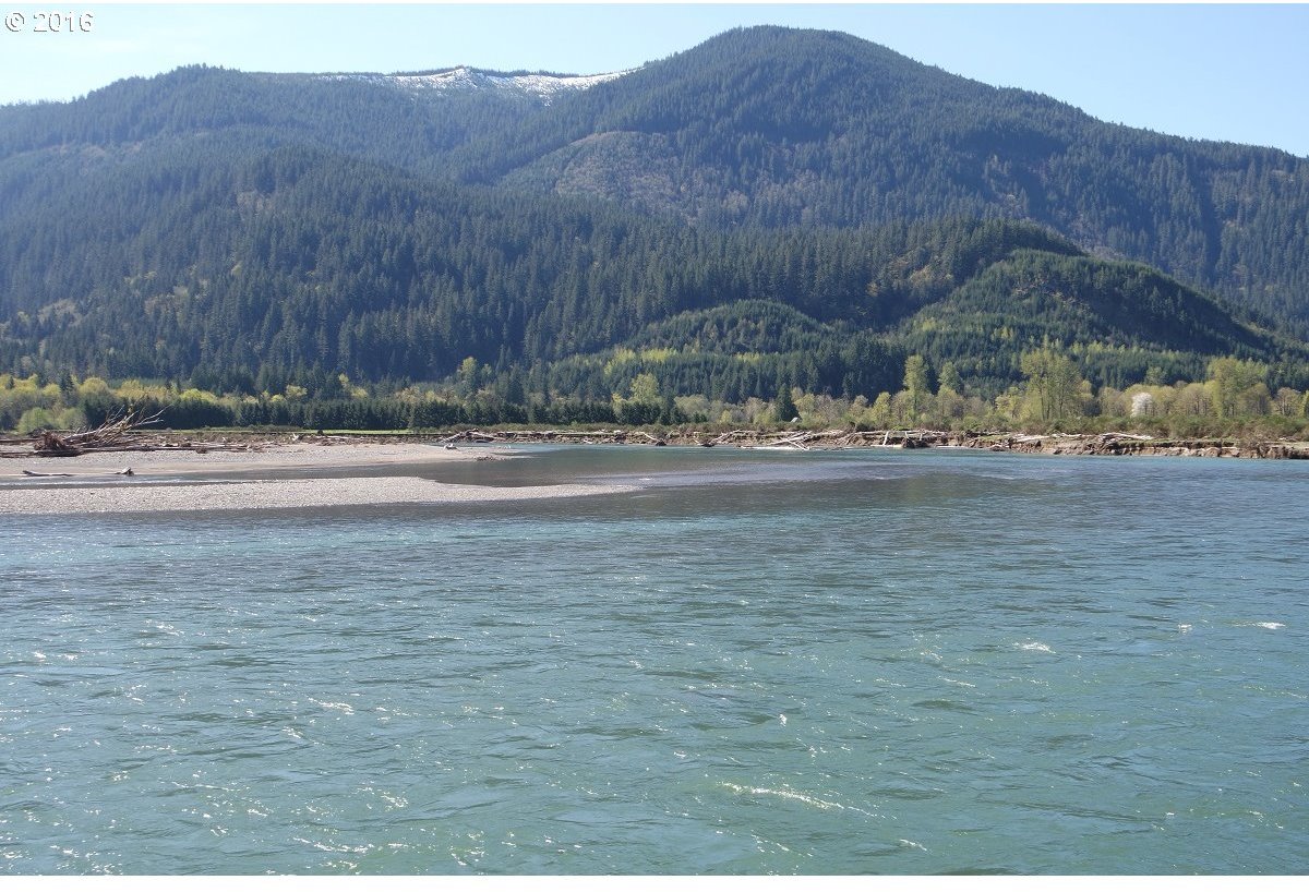 1 River Ranch Road Randle, WA 98377 - Photo 10 of 29 Gallery Image 10