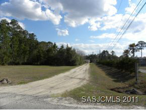917 Oak Ridge Road St. Augustine, FL 32086 - Photo 2 of 12 Looking down driveway