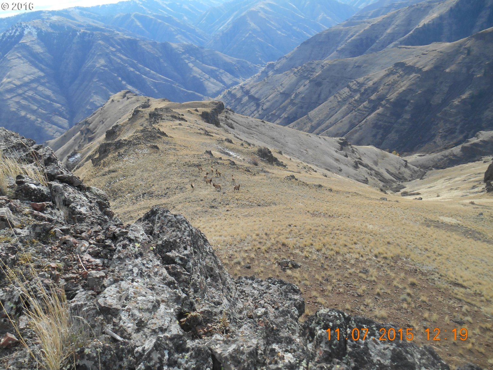 0 Trail Creek Road Joseph, OR 97846 - Photo 15 of 17 Gallery Image 15