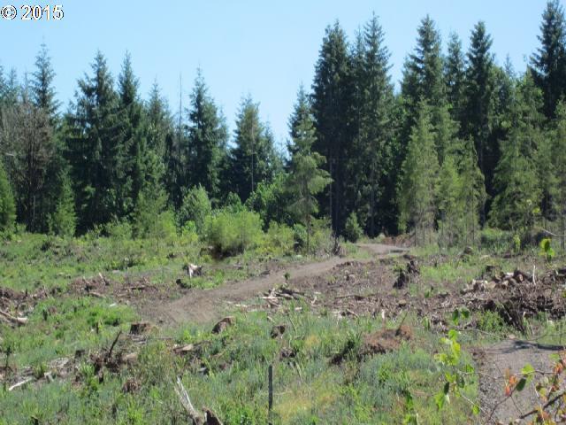 1 Jones Road, Unit 1 Winlock, WA 98596 - Photo 15 of 15