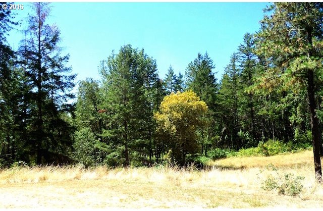 1332 Doerner Road Roseburg, OR 97471 - Photo 21 of 27