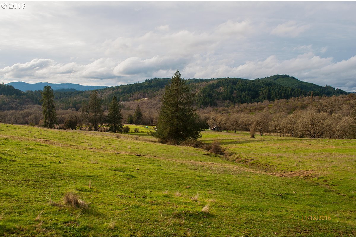 2819 Green Valley Road Oakland, OR 97462 - Photo 21 of 32 Gallery Image 21