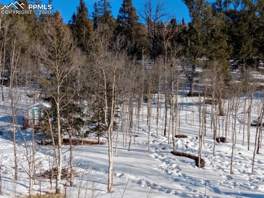 1391 Ute Trail Como, CO 80456 - Photo 21 of 30