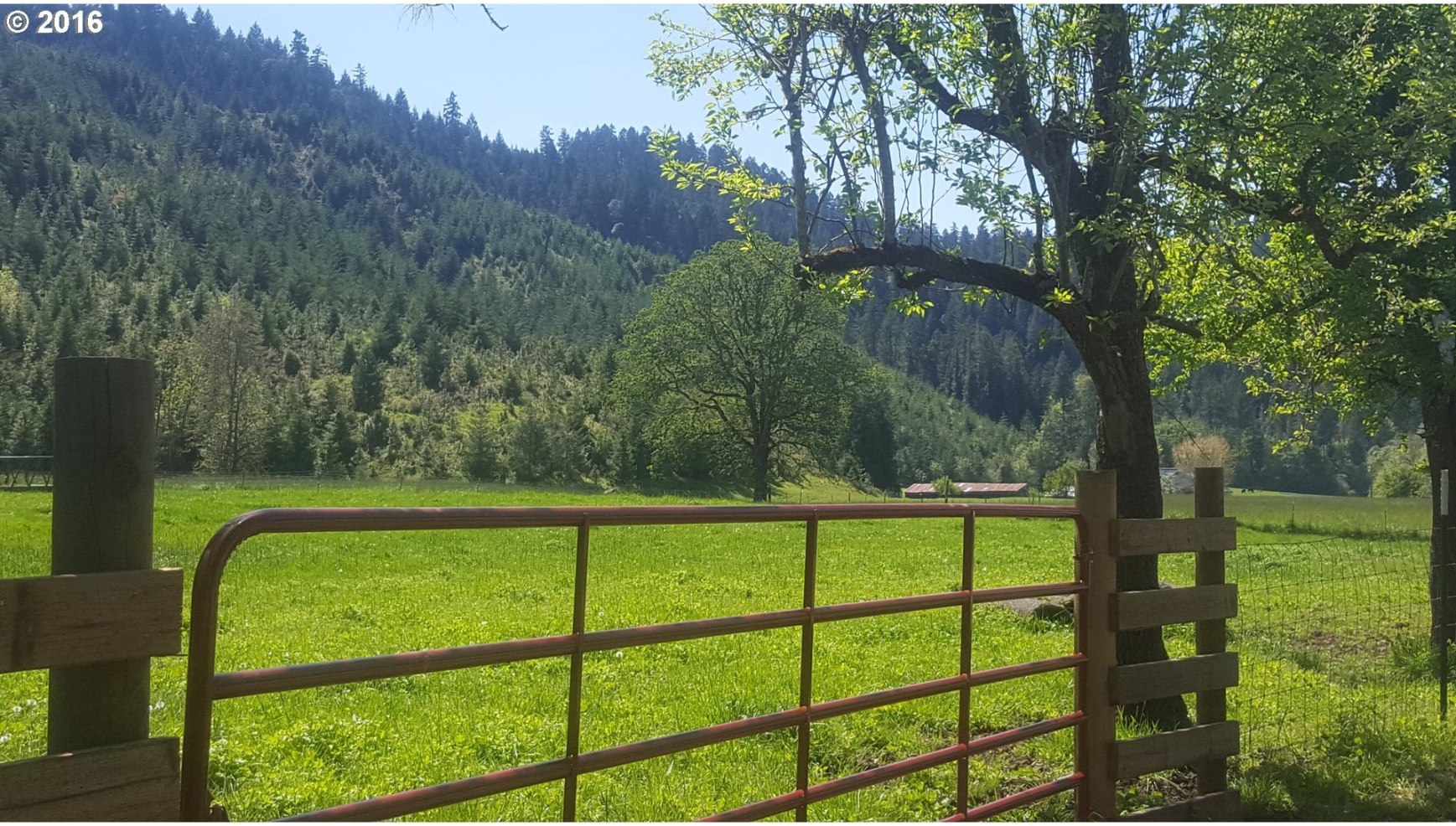 7839 South Myrtle Road Myrtle Creek, OR 97457 - Photo 13 of 31 Gallery Image 13