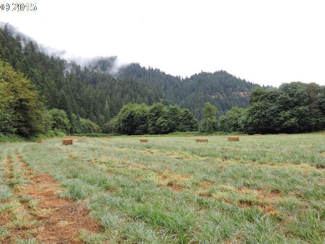 110 Briarwood Road Umpqua, OR 97486 - Photo 3 of 10 Gallery Image 3