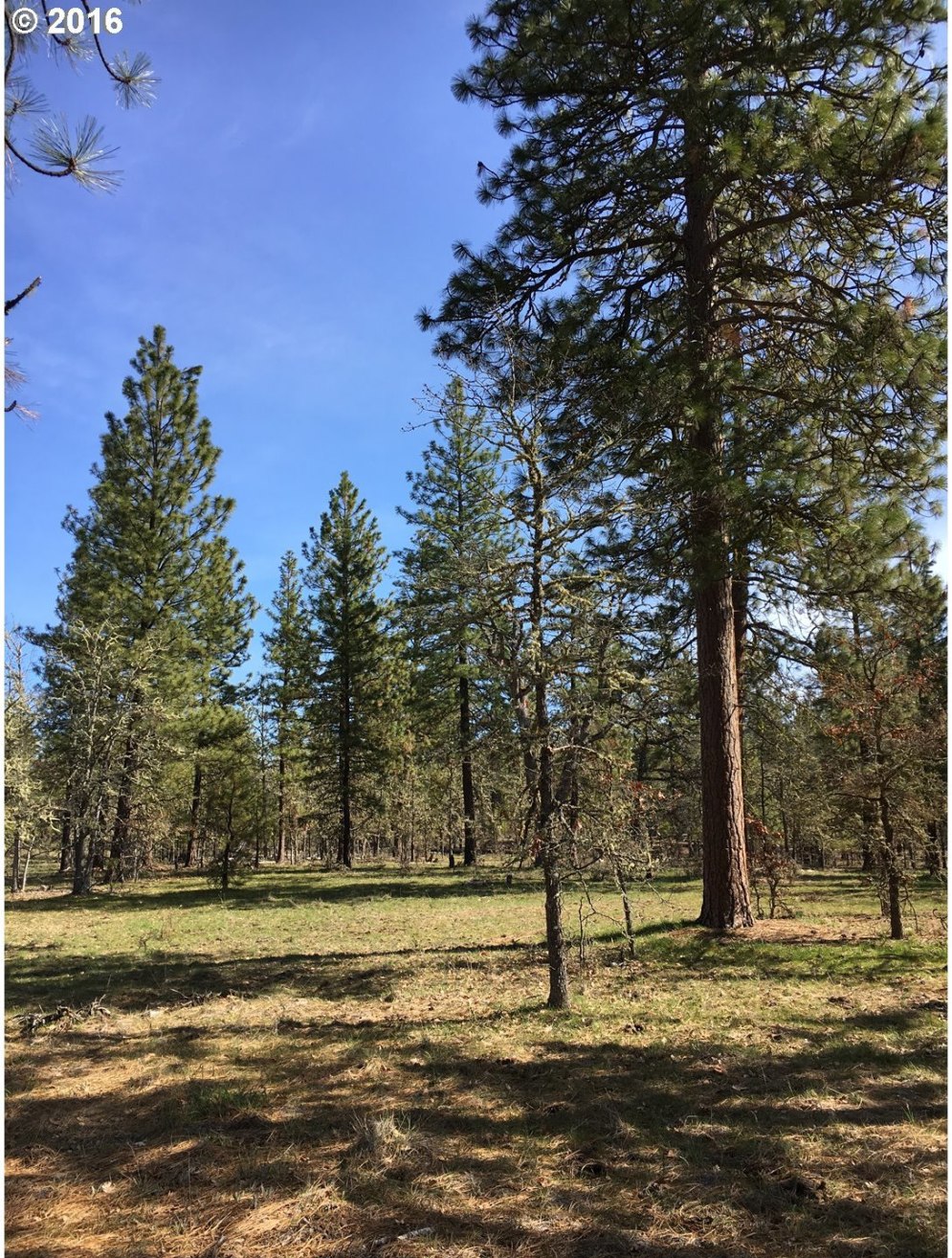 Whispering Pines Goldendale, WA 98620 - Photo 7 of 12