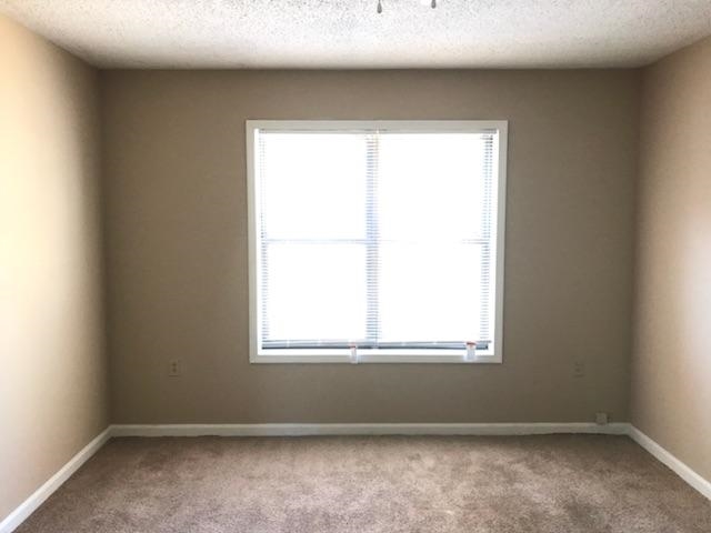 3409 Coleman Road Memphis, TN 38128 - Photo 3 of 5
