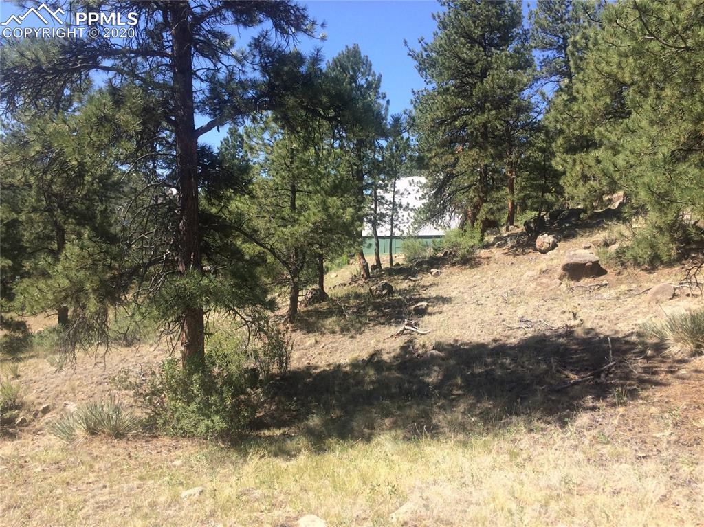 159 East Platte Road Lake George, CO 80827 - Photo 3 of 9