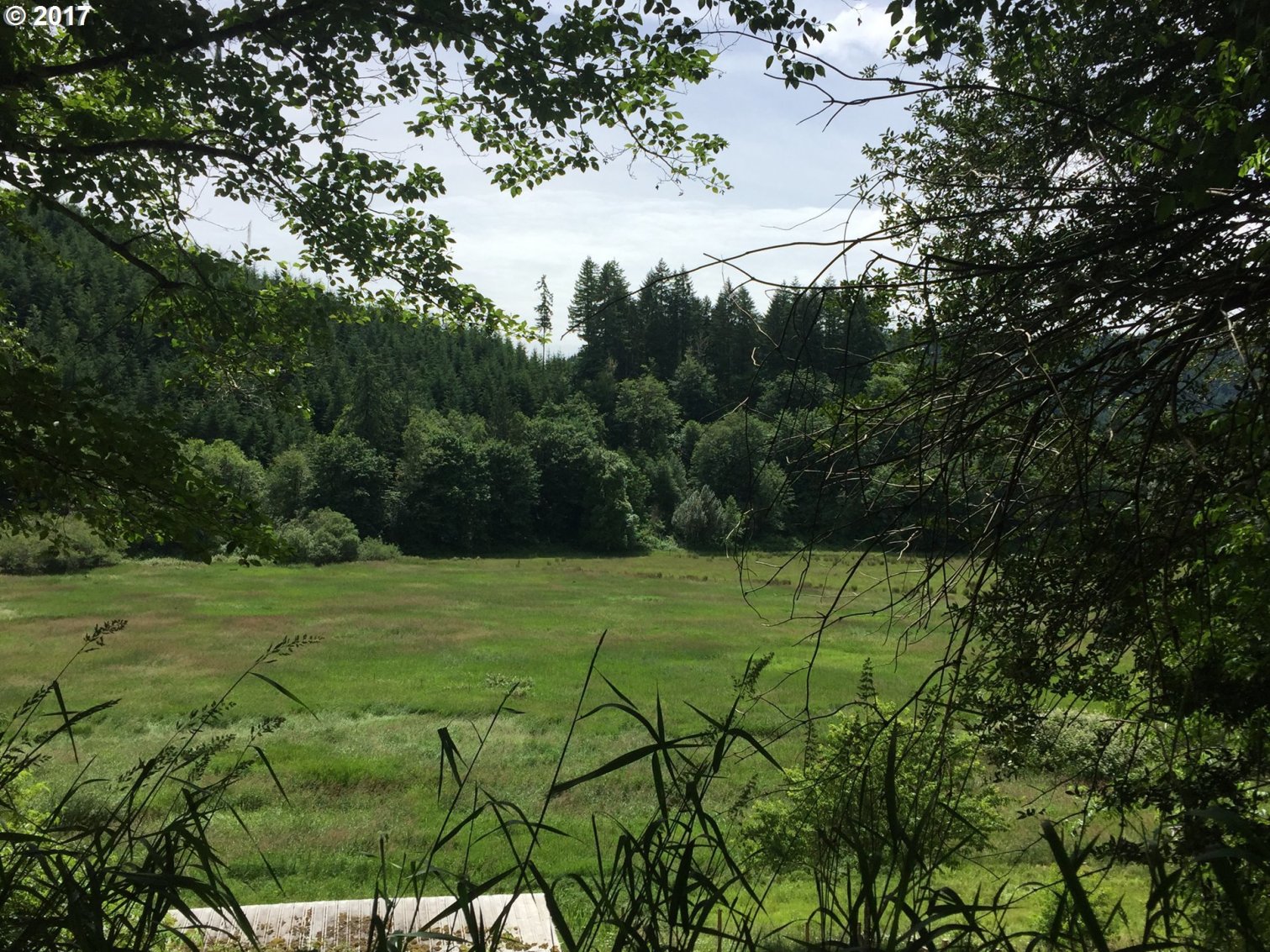 0 Carlson Road Reedsport, OR 97467 - Photo 27 of 28