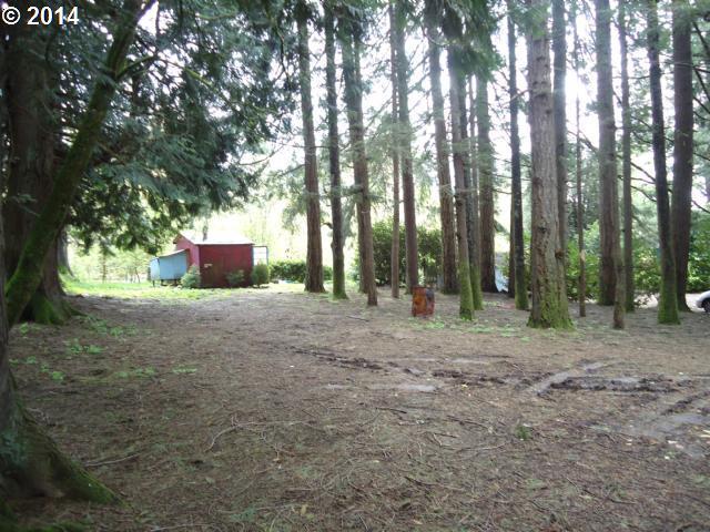 37843 Southeast Loudon Road Corbett, OR 97019 - Photo 11 of 14