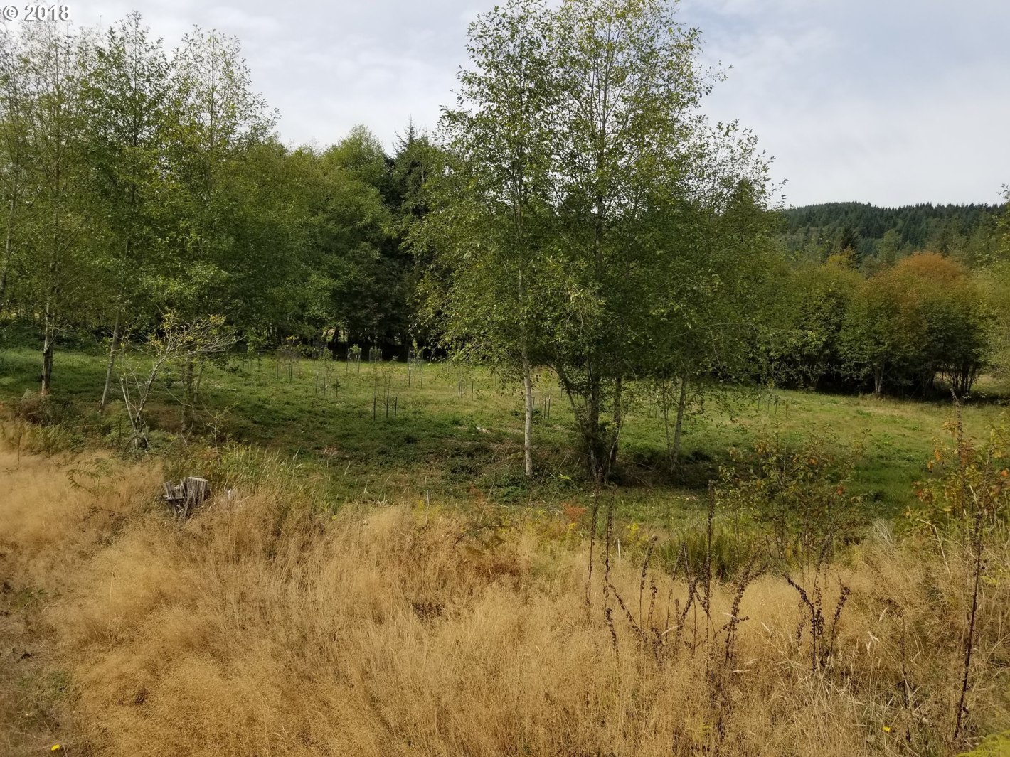 Elochoman Valley Cathlamet, WA 98612 - Photo 24 of 26