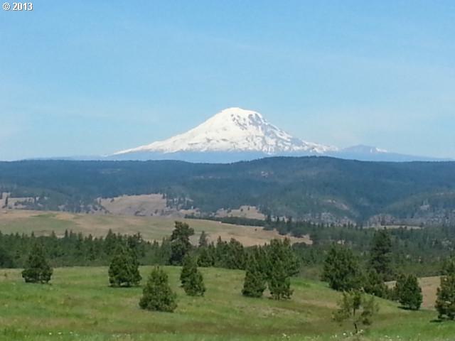Schilling Road, Unit 113 Lyle, WA 98635 - Photo 1 of 14 Gallery Image 1
