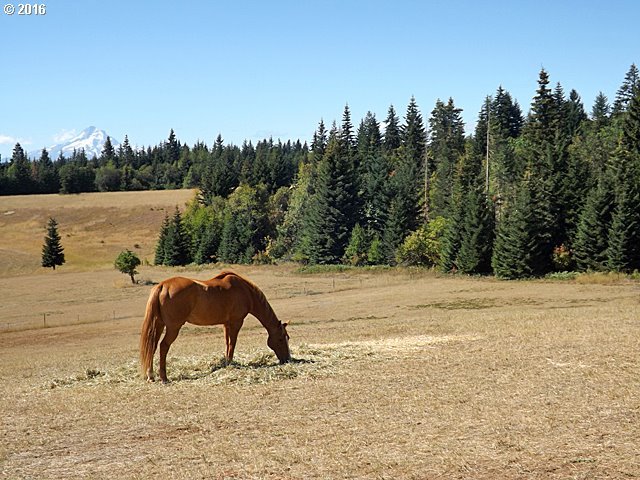 Pyatt Road White Salmon, WA 98672 - Photo 5 of 15
