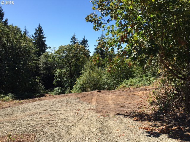 259 Large Road Kalama, WA 98625 - Photo 15 of 23 Gallery Image 15