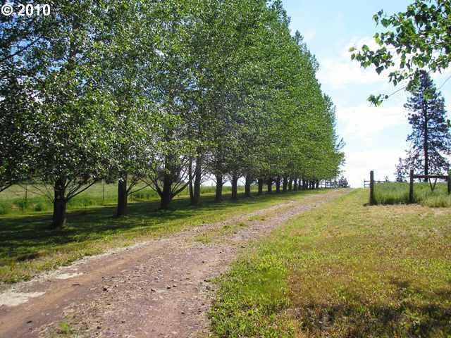 435 Hill Road Goldendale, WA 98620 - Photo 15 of 16 Gallery Image 15