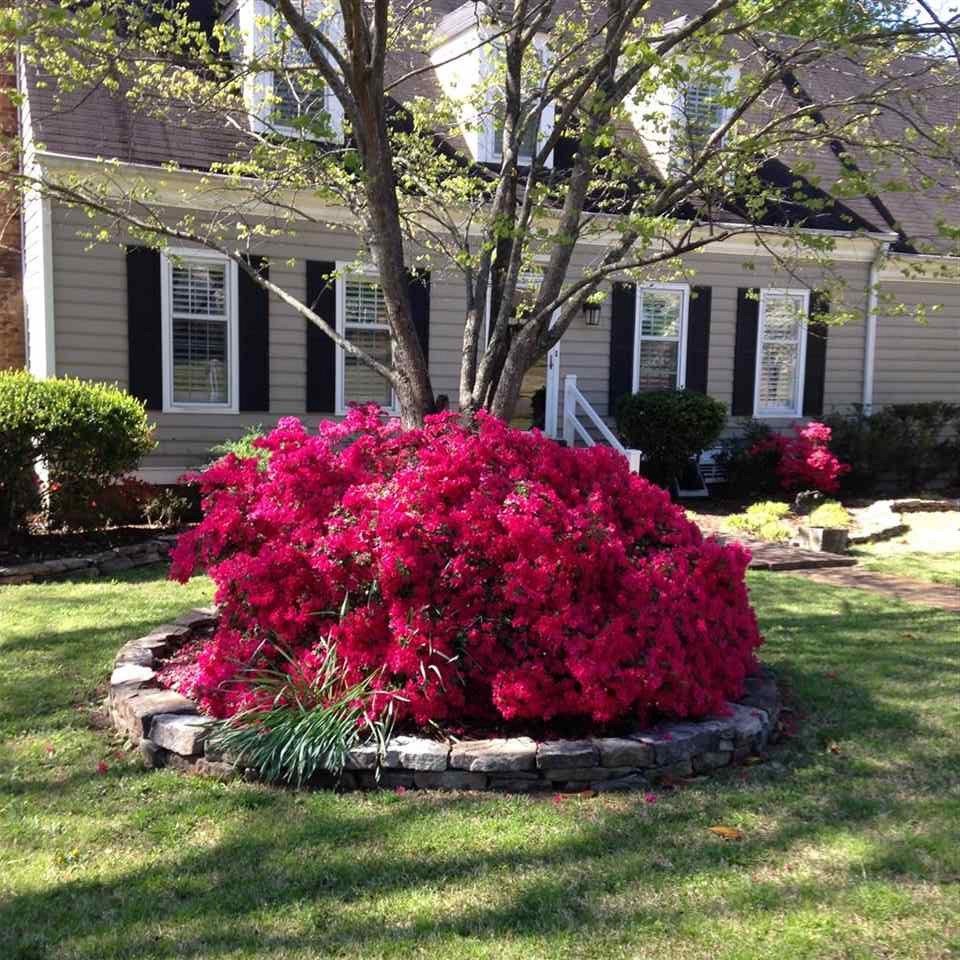 169 East Powell Road Collierville, TN 38017 - Photo 1 of 6 Gallery Image 1