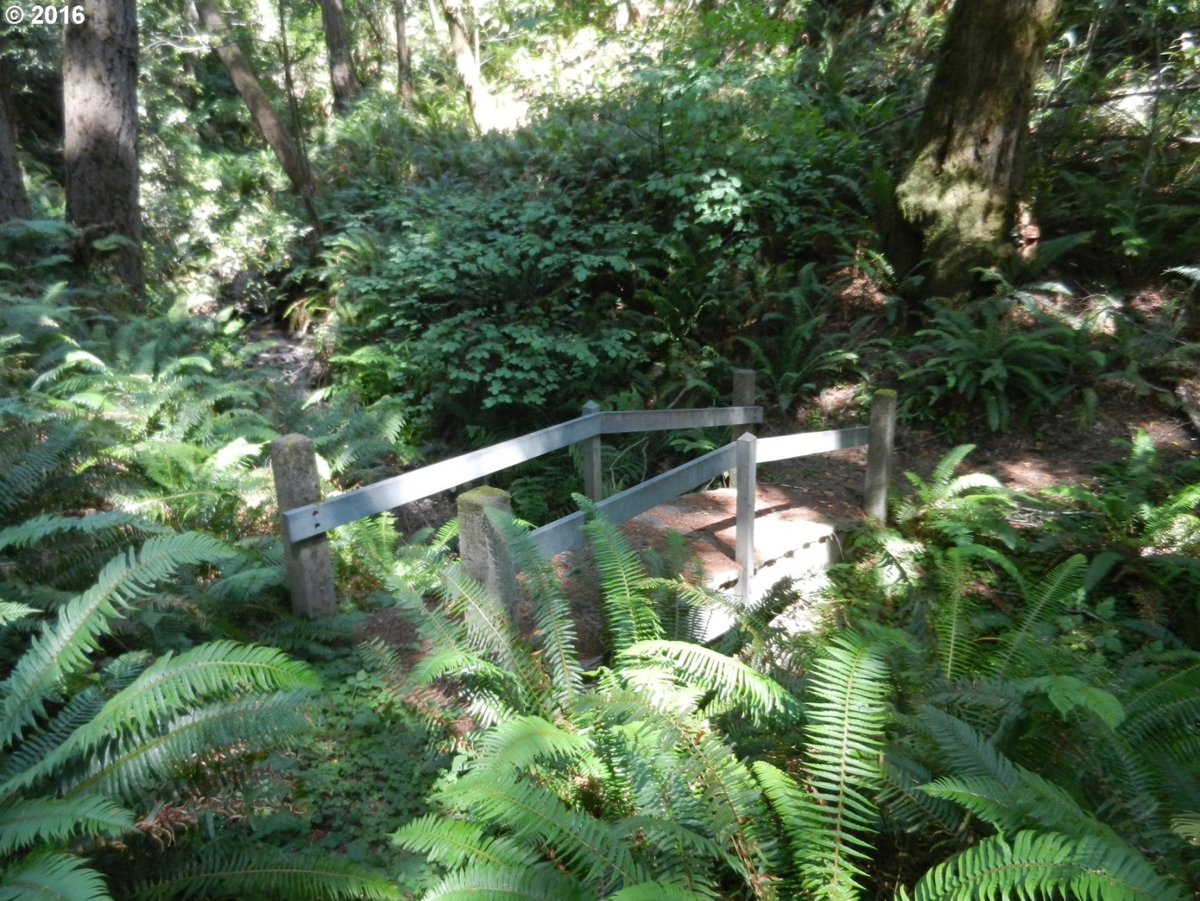 Silver Creek Road, Unit 4 Agness, OR 97406 - Photo 17 of 17 Gallery Image 17
