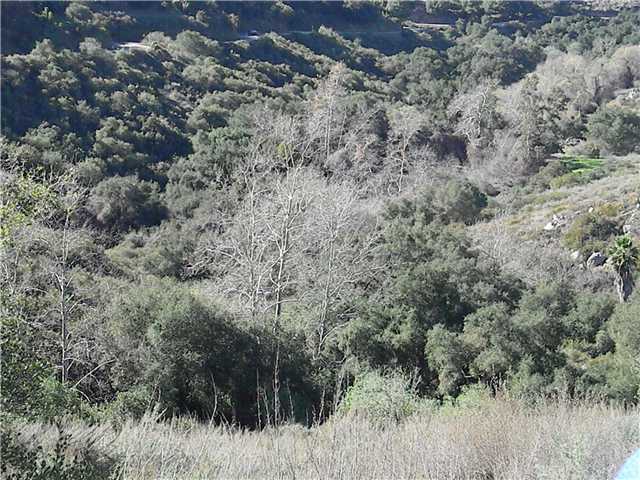 0 Couser Canyon Road Valley Center, CA 92082 - Photo 9 of 10