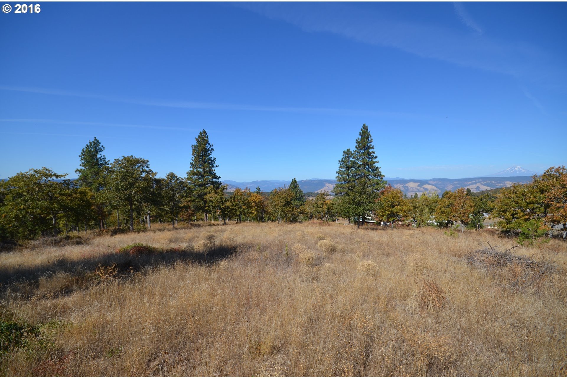 2093 Ridge Road West The Dalles, OR 97058 - Photo 3 of 26 Gallery Image 3