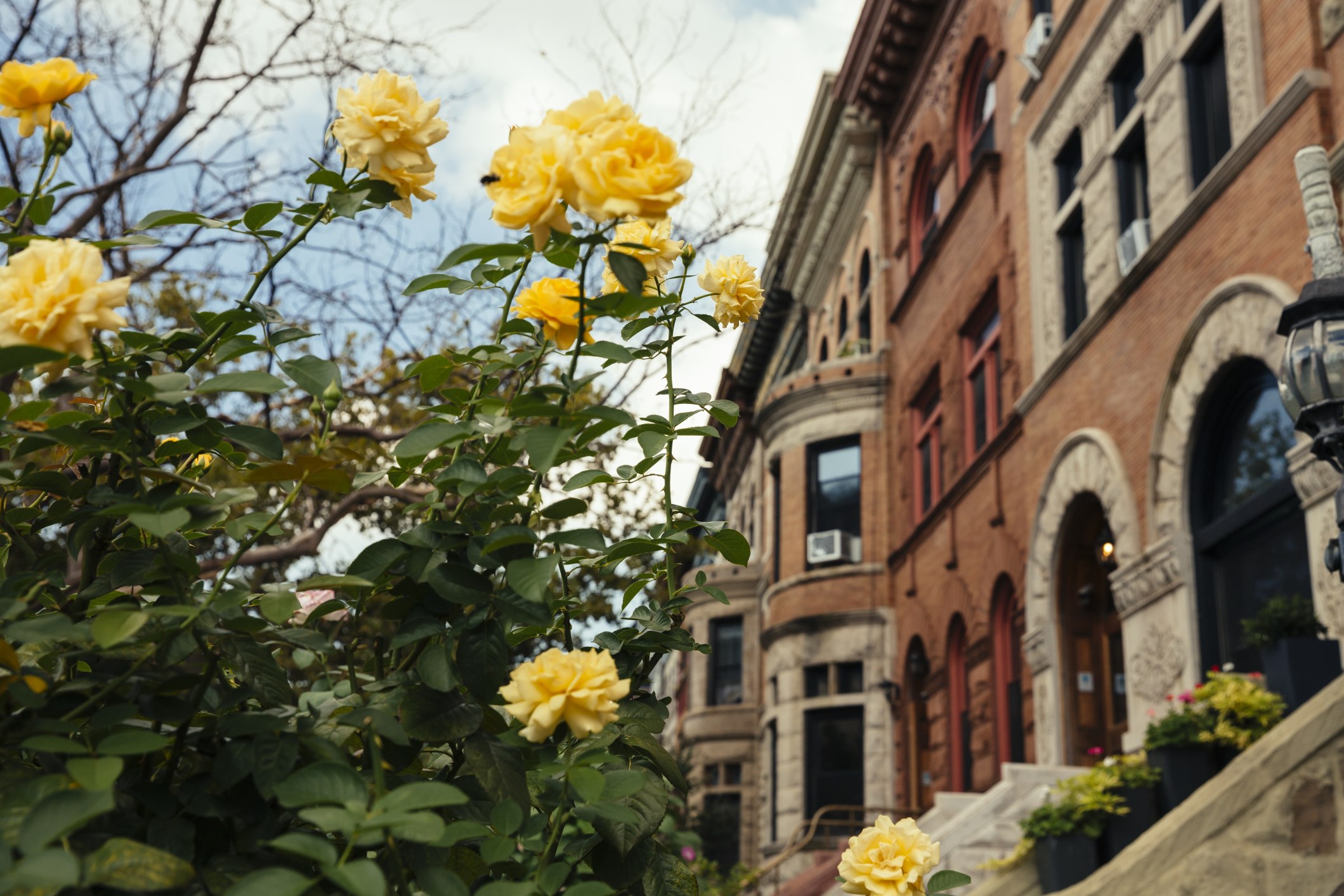 491 Park Place, Unit 3F Brooklyn, NY 11238 - Photo 7 of 9 Gallery Image 7