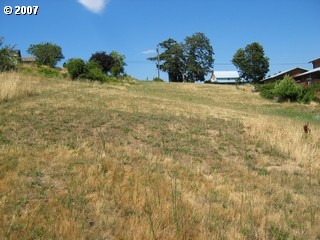Spring Street, Unit 2 White Salmon, WA 98672 - Photo 4 of 4 Gallery Image 4