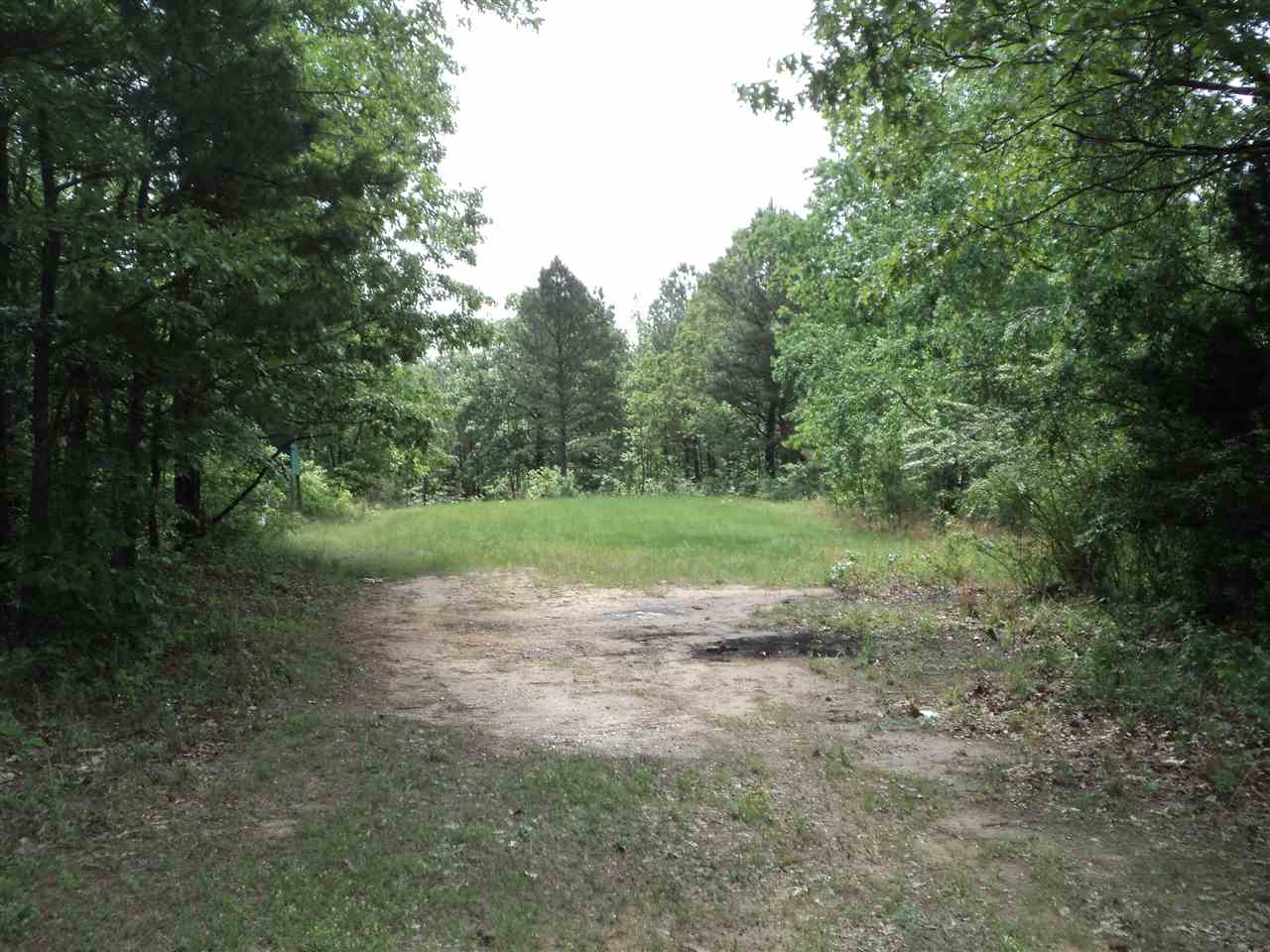 0 Ramer Selmer Road North Ramer, TN 38367 - Photo 2 of 7
