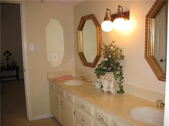 8686 Jack Bond Road Arlington, TN 38002 - Photo 20 of 22 Shared bath between the two bedrooms notice the double vanity!