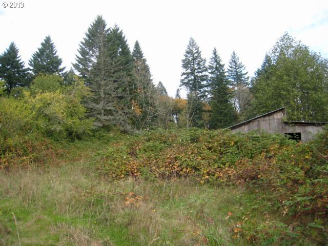 292 Franz Road Stevenson, WA 98648 - Photo 3 of 10 Gallery Image 3