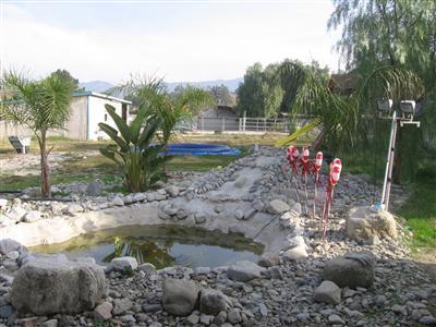 10200 Stonehurst Avenue Sun Valley, CA 91040 - Photo 2 of 5