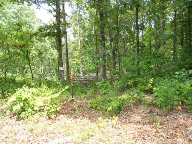 0 Edenway Road Stewart, TN 37175 - Photo 12 of 12 Gallery Image 12