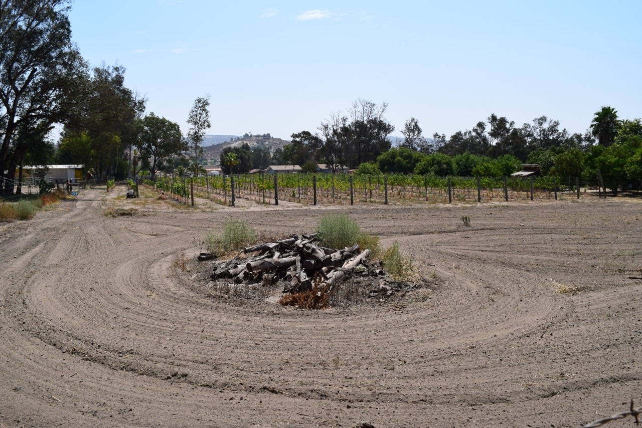 1859 Lilac Road Ramona, CA 92065 - Photo 2 of 14