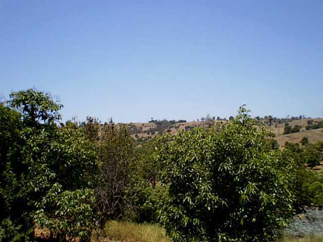 1130 Ranger Road Fallbrook, CA 92028 - Photo 21 of 22