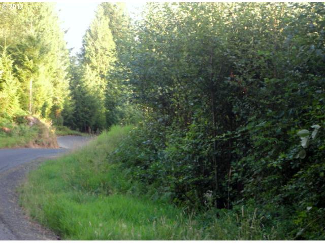 0 Hayru Road Longview, WA 98632 - Photo 6 of 6