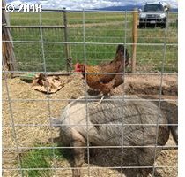 54 Van Hoy Road Goldendale, WA 98620 - Photo 10 of 29 Gallery Image 10
