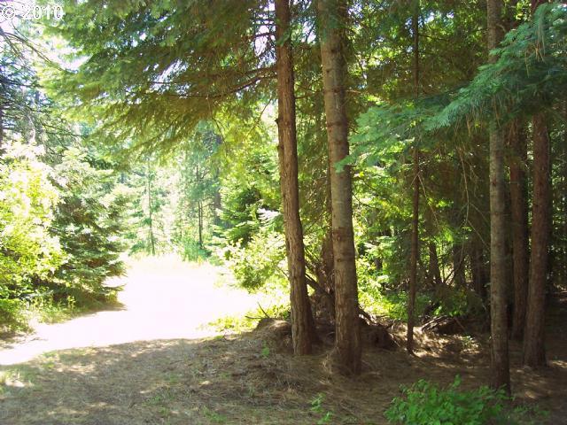1072 Fisher Hill Road Appleton, WA 98602 - Photo 3 of 8 Gallery Image 3