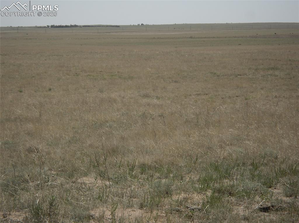 38955 Trogilo Road Rush, CO 80833 - Photo 7 of 11 Gallery Image 7
