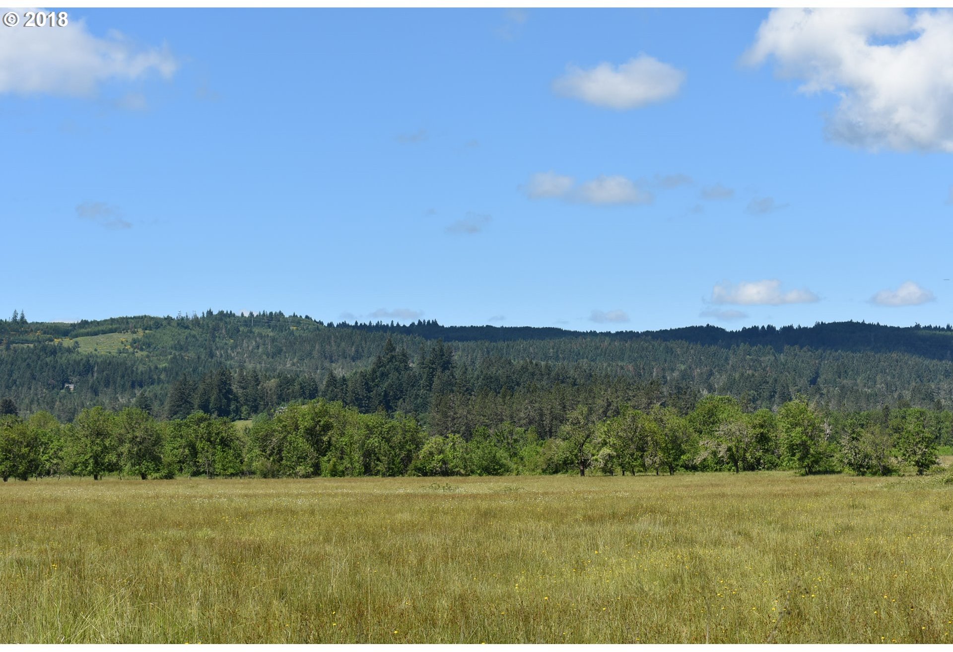 82686 Butte Road Creswell, OR 97426 - Photo 9 of 9 Gallery Image 9