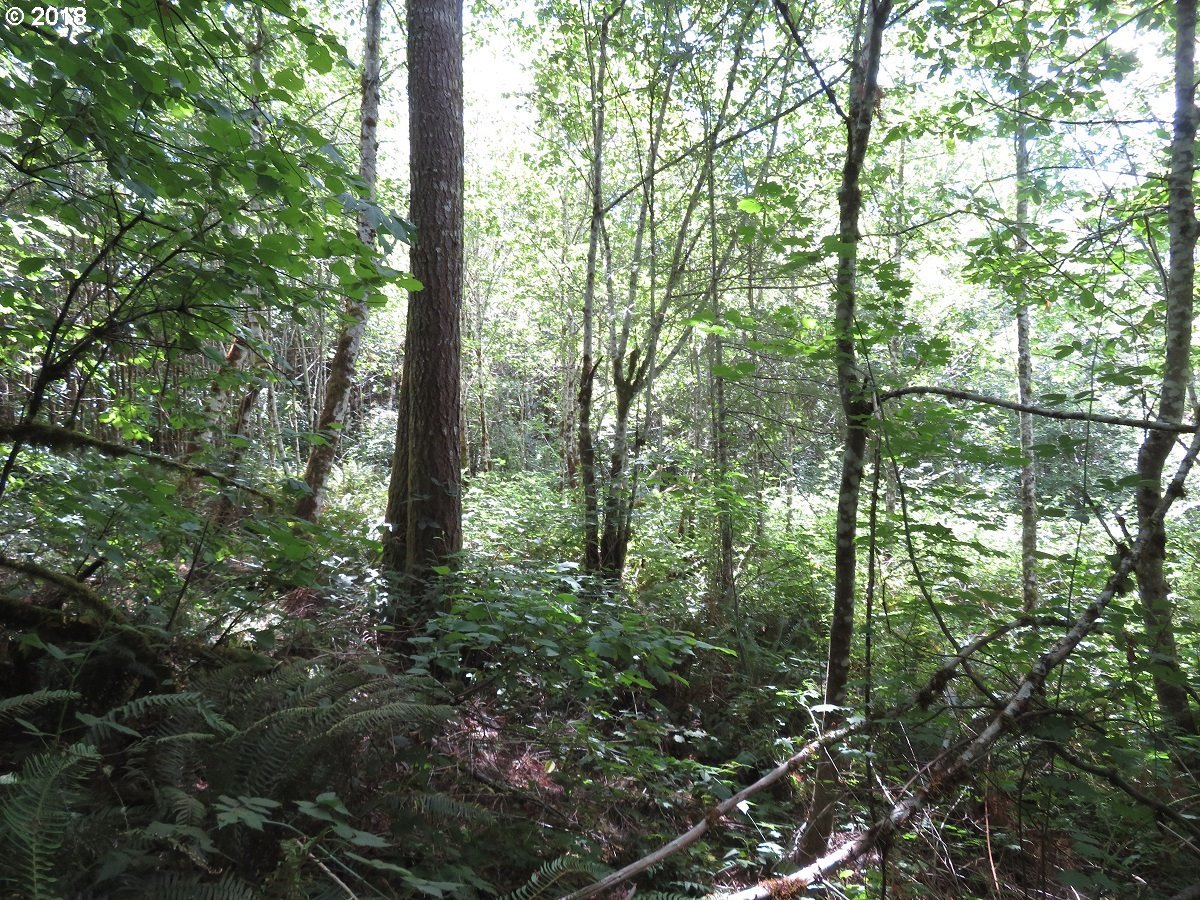 Centralia Alpha Road Chehalis, WA 98532 - Photo 4 of 25 Gallery Image 4