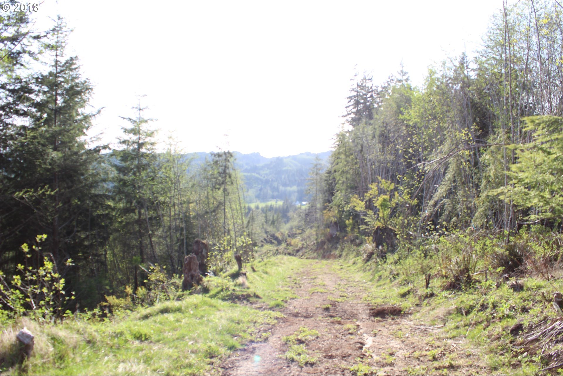 Elochoman Valley Cathlamet, WA 98612 - Photo 9 of 26