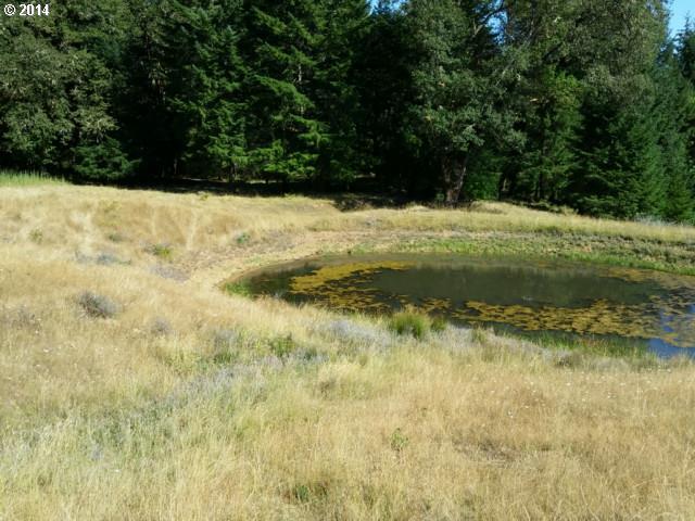 3450 Hogan Road Oakland, OR 97462 - Photo 12 of 16