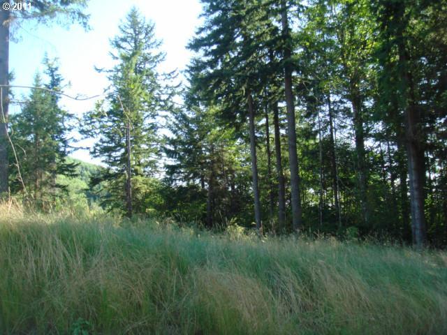 0 Bodine Road, Unit LOT 2 Kelso, WA 98626 - Photo 1 of 2 Gallery Image 1