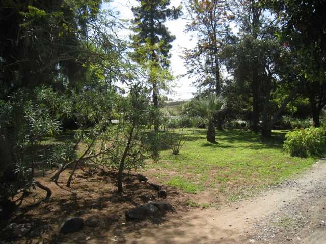 1652 East Mission Road Fallbrook, CA 92028 - Photo 2 of 8
