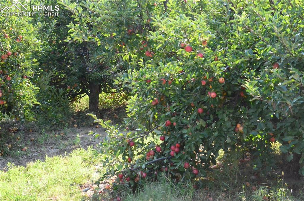 65295 Highway 50 Fowler, CO 81039 - Photo 21 of 26