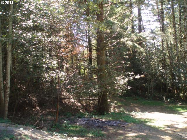 18400 Taylor Creek Road Brookings, OR 97415 - Photo 13 of 14 Gallery Image 13