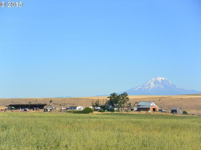 307 Clyde Story Road Goldendale, WA 98620 - Photo 2 of 19 Gallery Image 2