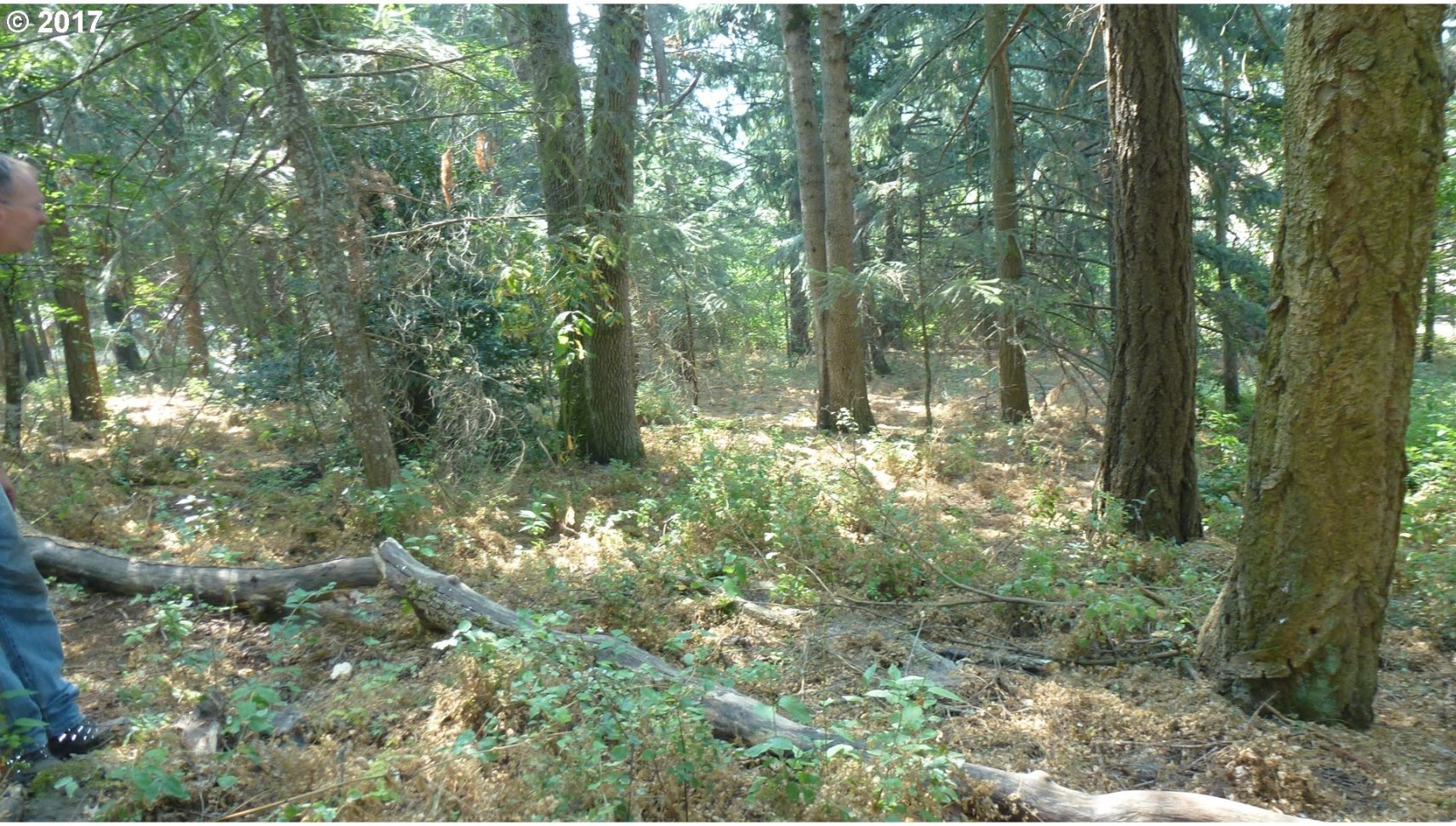 16857 Abiqua Road Northeast Silverton, OR 97381 - Photo 11 of 12 Gallery Image 11