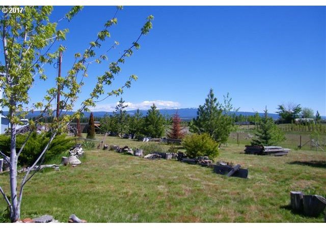1056 Horseshoe Bend Road Centerville, WA 98613 - Photo 24 of 32 Gallery Image 24