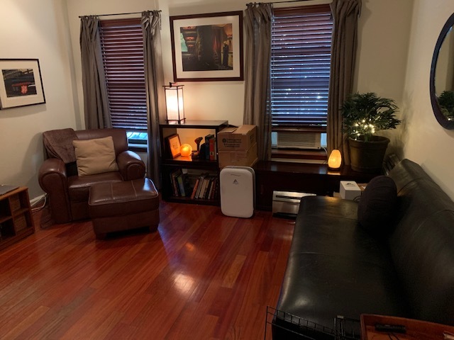 118 Prospect Place, Unit 1 Brooklyn, NY 11217 - Photo 2 of 10