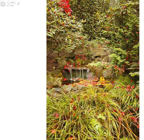 1733 South Riverdale Road Portland, OR 97219 - Photo 13 of 16 Gallery Image 13