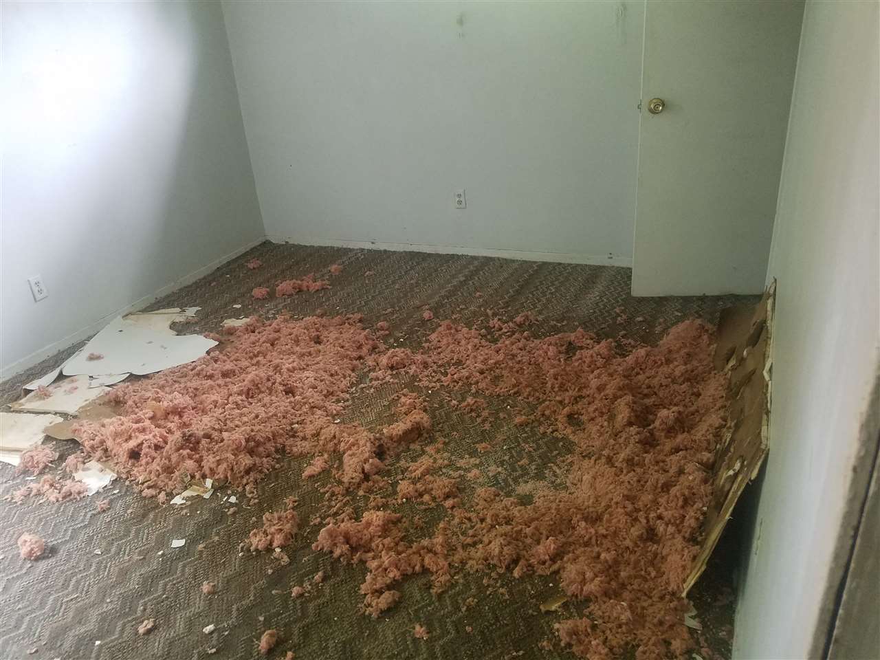 3174 Given Avenue Memphis, TN 38112 - Photo 15 of 25